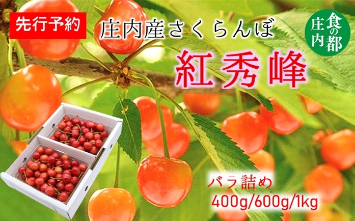 
                  【令和8年産】食の都庄内　庄内産さくらんぼ「紅秀峰」バラ詰め　※選べる容量【400g/600g/1kg】　※令和8年6月下旬～7月上旬頃発送
                