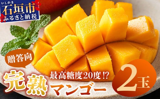 
                  【先行予約】《2026年6月下旬～7月下旬発送》 最高糖度20度！？ 完熟の極！石垣島マンゴー 2玉約800g【贈答向け】【 産地直送 完熟マンゴー アーウィン マンゴー 沖縄 八重山 石垣島産 】TF-6-1_R8
                