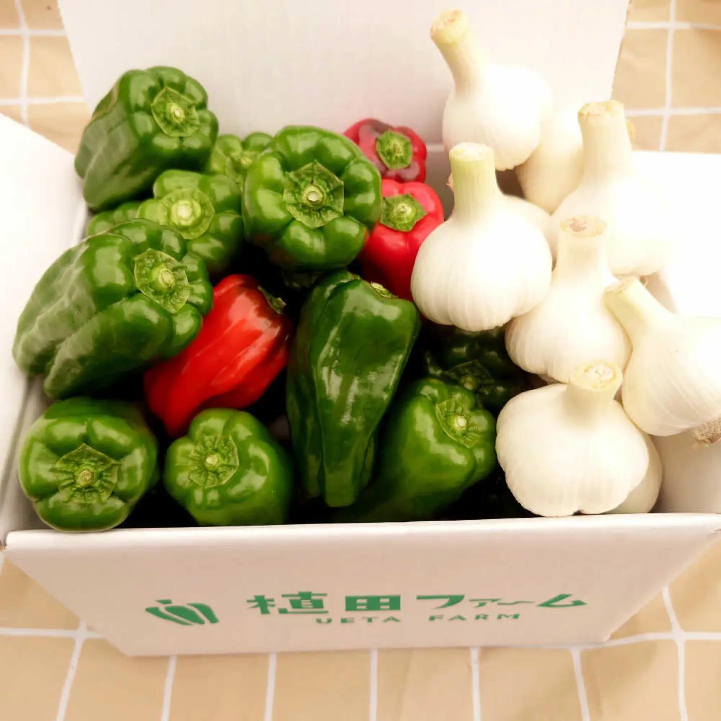 【先行予約】平戸にんにく＆ハッピーマンセット 約3kg〈2026年10月-11月末頃発送〉 ニンニク 自然乾燥平戸にんにく ピーマン 野菜 やさい おかず 副菜 お弁当 新鮮 おいしい 採れたて 国産