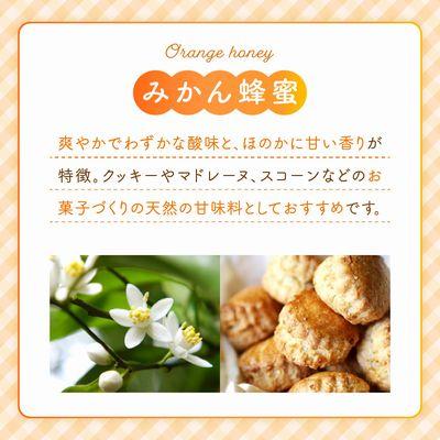 ふるさと納税 南九州市 旅するはちみつ300g【みかん蜂蜜】 |  | 02