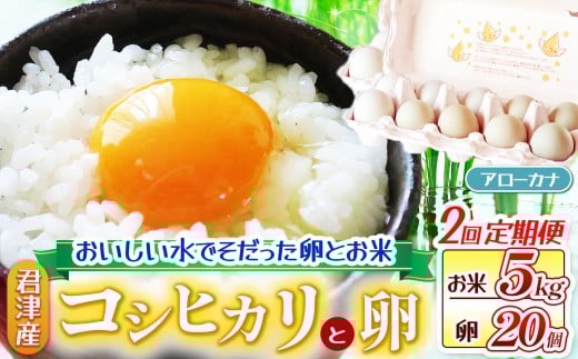 【 お米と卵の 定期便 2回 】 新米 令和7年産 コシヒカリ ( 5kg ) 精米 ＆ 青卵 アローカナ ( 20個 ) きれいな水で育てたシリーズ | 保坂農場 卵 たまご ちばエコ農産物 こしひかり 君津市産 たまかけ イチオシ 千葉 君津市 きみつ 房総