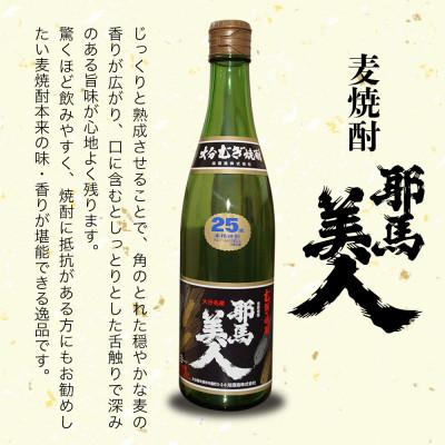 ふるさと納税 中津市 麦焼酎　耶馬美人25度　 720ml×10 |  | 01
