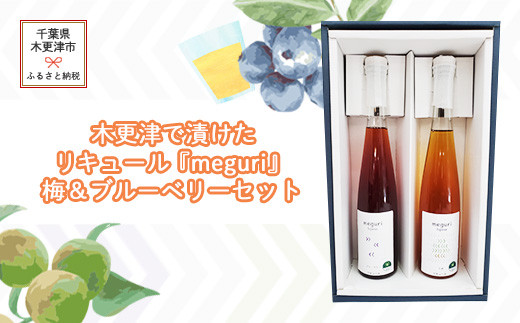 KAM006 木更津で漬けたリキュール『meguri』梅＆ブルーベリーセット ふるさと納税 リキュール アルコール スピリッツ 千葉県 木更津 送料無料
