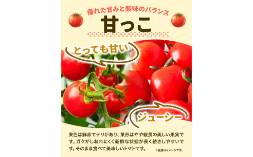 【0-8-220】北海道当別町産化学農薬不使用ミニトマト：甘っこ1.5kg