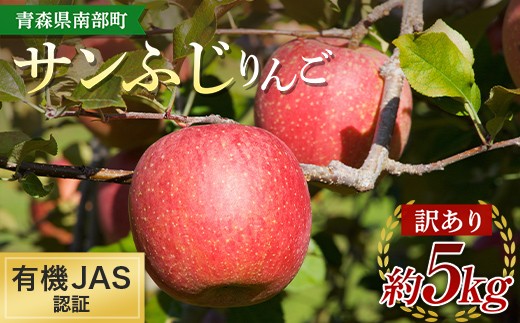 《訳あり》 有機JAS認証 サンふじ りんご 約5kg 【和楽堂りんご養生農苑】 青森りんご リンゴ 林檎  アップル 青森県 南部町 果物 くだもの フルーツ オーガニック 家庭用 F21U-287