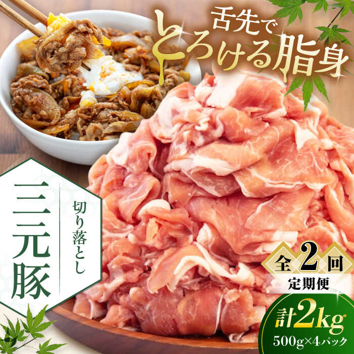 【ふるさと納税】 定期 三元豚 切り落とし 2kg 500g×4パック ▼ 全2回 定期便 《喜茂別町》【平田牧場】 肉 豚肉 生姜焼き 小分け 冷凍 冷凍配送 定期便 定期 北海道 平田牧場 おすすめ [AJAP034] 40000 40000円 4万円