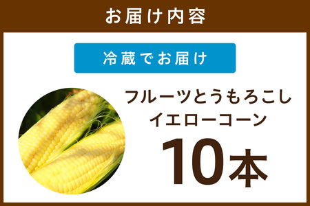 【先行予約】 生食も！高糖度！もぎたて！ フルーツトウモロコシ「イエローコーン」（2025年6月下旬～発送）