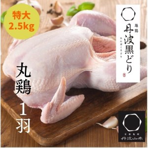 【訳あり 緊急支援】地鶏 丹波黒どり 丸どり 中抜き 丸1羽 約2.5kg＜京都亀岡丹波山本＞業務用 特大サイズ《特別返礼品 鶏肉 丸ごと 1羽 国産鶏 国産鶏肉 京都府産鶏肉 京都産鶏肉 地鶏鶏肉 鶏肉地鶏 鶏肉大容量 大容量鶏肉 たっぷり鶏肉 鶏肉》◇