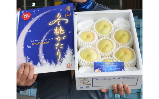 岡山冬桃がたり約1.35kg（7～9玉）【2026年12月上旬以降発送】