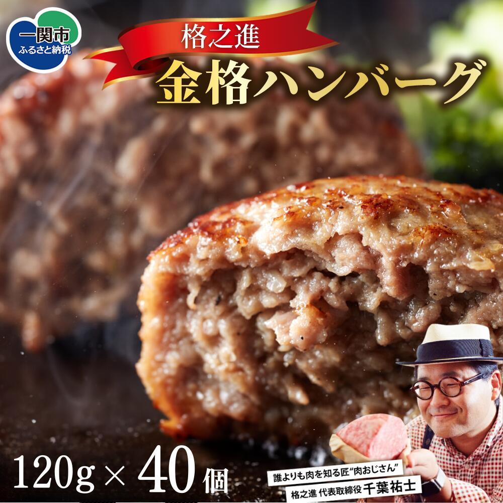 ＼TVで紹介されました！／ 格之進 金格 ハンバーグ ( 120g ×40個 ) 冷凍 小分け 個包装 高評価 人気 プレミアム ハンバーグ 【 高級 国産 牛肉 豚肉 白金豚 おかず 惣菜 おすすめ 肉 ビーフ ポーク ひき肉 挽肉 贈り物 ギフト 一関 岩手 】