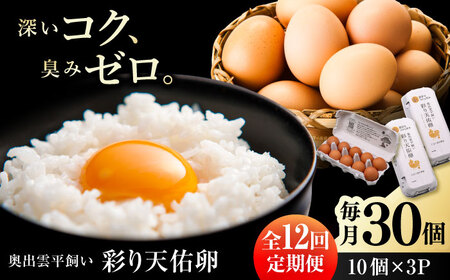 卵 定期便 12回 彩り天佑卵 30個入り [AIDL005] たまご