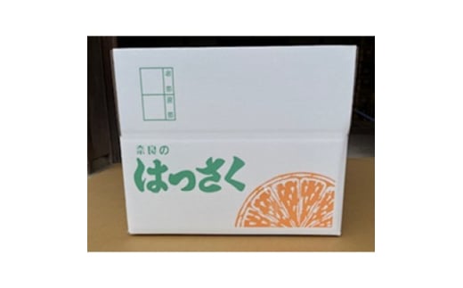 八朔10kgご家庭用【1601386】