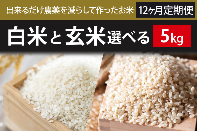 
                  【2026年10月より順次発送】【12ヶ月定期便】【できるだけ農薬を減らして作ったお米】令和8年産こしひかり 5kg(白米または玄米)｜米 こしひかり 新米 定期便(BI-80)
                