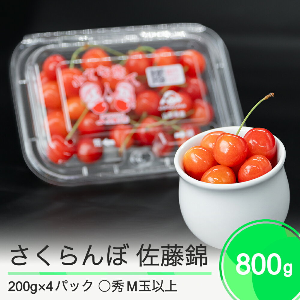 【ふるさと納税】先行予約 さくらんぼ 佐藤錦 ◯秀 M玉以上 200g×4パック 計800g フードパック 2025年産 令和七年産 果物 果樹 フルーツ 送料無料