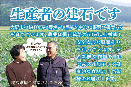 【先行予約】上庄里芋「麻奈姫」3kg「農家直送」【11月初旬から順次発送】