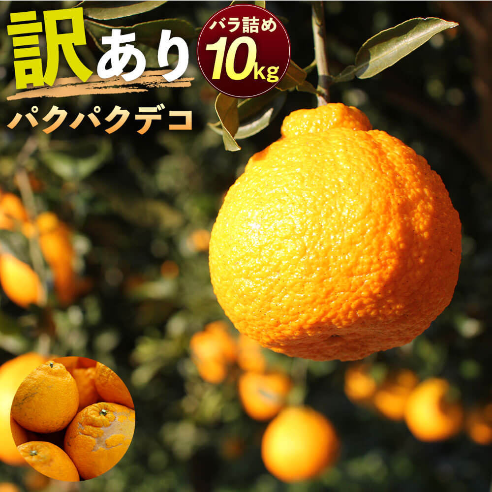【ふるさと納税】パクパクデコ 10kg バラ詰め 訳あり B品 予約 デコポン 不知火 傷あり サイズ混合 ご家庭用 九州産 熊本県産 果物 みかん 柑橘 送料無料 【2026年2月下旬-6月下旬発送】