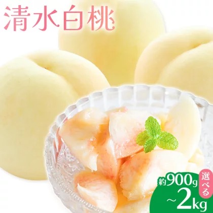 【先行予約】清水白桃 選べる内容量 約900g 約1.5kg 約2kg もも モモ 岡山 国産 フルーツ 果物 桃茂實苑《7月中旬-8月上旬頃出荷》岡山県 浅口市 フルーツ モモ 果物 青果 旬 白桃 国産 岡山県産【配送不可地域あり】