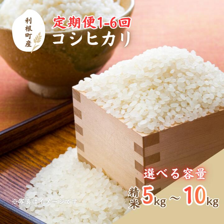 【ふるさと納税】利根町産コシヒカリ　精米5kg~10kg ／ 米 こめ コメ お米 おこめ コシヒカリ こしひかり 令和7年産 新米 白米 精米 ご飯 ごはん 5kg 10kg 定期便 送料無料