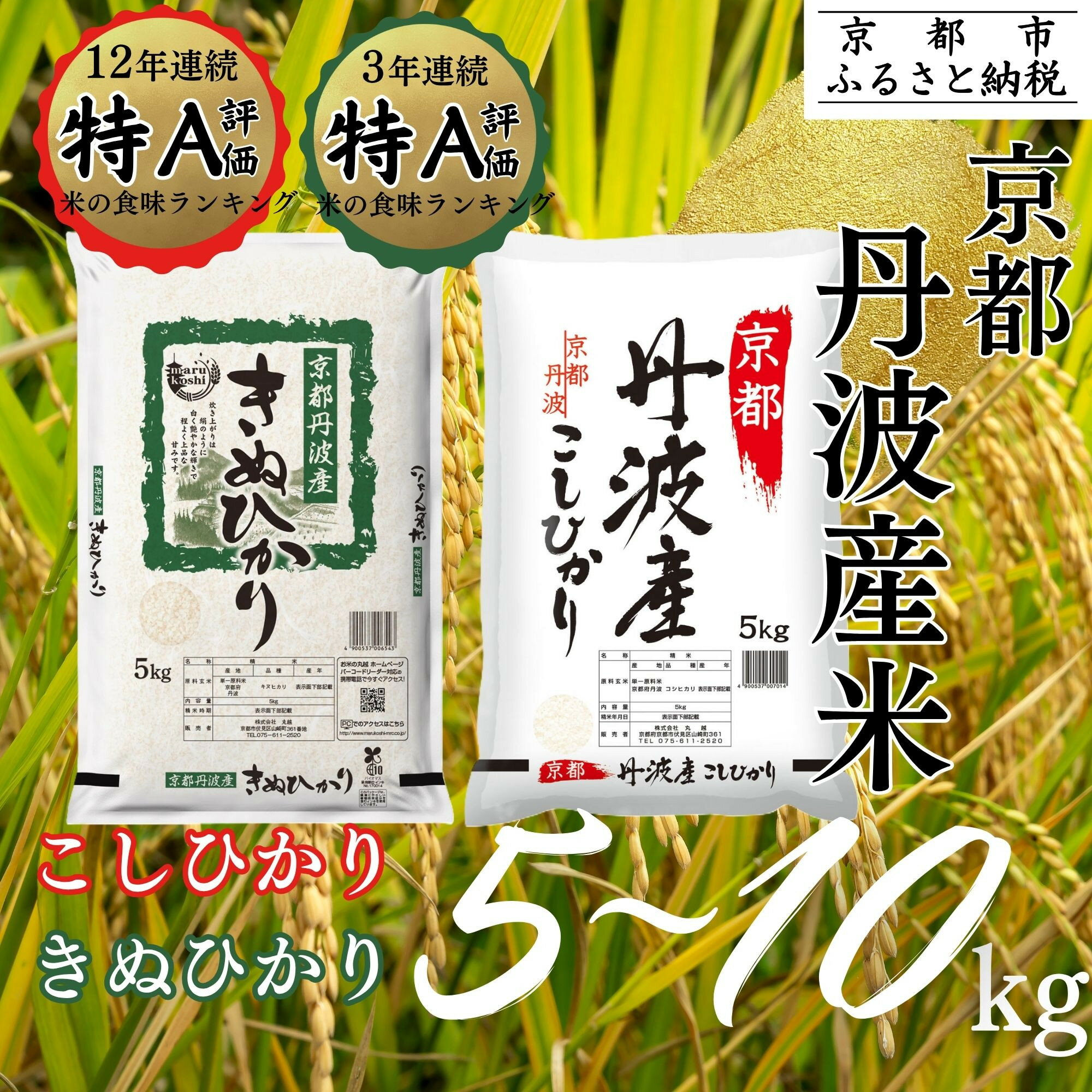 【ふるさと納税】＜令和7年産新米＞【丸越】京都丹波産 精米 選べる 5kg～10kg［ 京都 丹波産 こしひかり きぬひかり 精米 令和7年産 特A評価 おいしい 人気 おすすめ 米 コメ お取り寄せ 通販 送料無料 ふるさと納税 ］