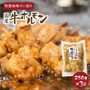 【ふるさと納税】 白川郷 自家製 牛ホルモン 250g×3袋セット 牛肉 国産牛ホルモン 味付け肉 味噌味 焼肉店 オリジナル 簡単 おつまみ 冷凍 味付き 白川村 てんから アウトドア BBQ 簡易梱包 訳あり 訳アリ 11000円 [S289]