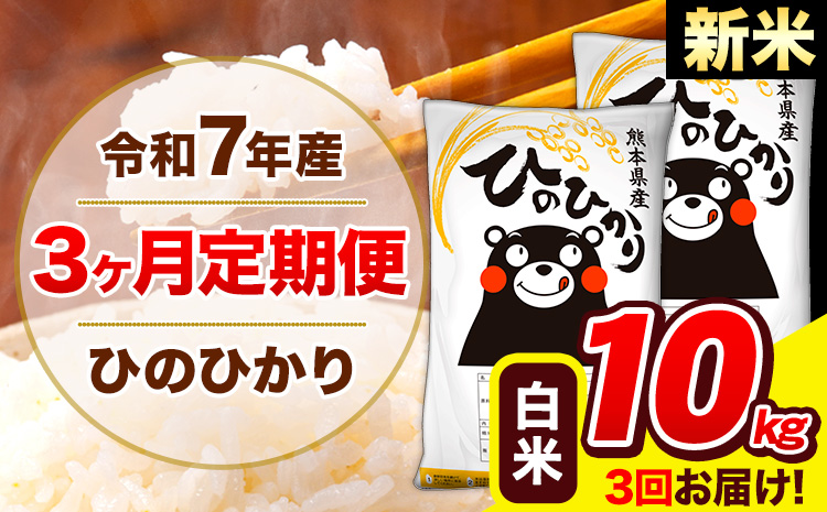 新米 米 令和7年産 ひのひかり 【3ヶ月定期便】 白米  10kg (5kg×2袋) 計3回お届け 《11月から出荷開始》 熊本県産 白米 精米 ひの 米 こめ お米 熊本県 長洲町