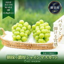 【ふるさと納税】ぶどう 2025年 先行予約 シャイン マスカット 2房（合計1.3kg以上）贈答クラス ブドウ 葡萄 岡山県産 国産 フルーツ 果物 ギフト OEC KINGDOM ぶどう家 | フルーツ 果物 くだもの 食品 人気