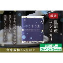 【ふるさと納税】【定期便／3ヶ月】ゆきまち米 3合×10個 極上魚沼産コシヒカリ　定期便・ お米 米 コシヒカリ こしひかり 魚沼産 魚沼産コシヒカリ 魚沼産こしひかり 　お届け：準備でき次第、順次発送