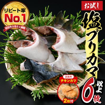 ふるさと納税 佐伯市 【試食用チキンカツ付】<お試し用>ひもの丸丁の塩ブリカマ(3〜4枚入り)×2パック