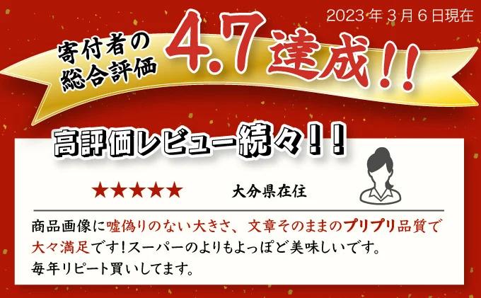 1kg海老専門店のぷりぷりむきえび【A-102-E】