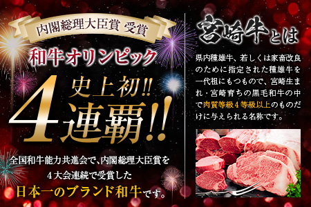 【令和6年6月配送】数量限定 超希少 宮崎牛 ヒレステーキ 計360g 肉 牛 牛肉 ステーキ 人気 ヒレ 赤身 国産 食品 配送月が選べる_EC9-23-06