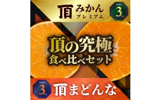 頂みかんプレミアム&頂まどんな 食べ比べ2箱セット＜各3kg＞＜G31-53＞【1643194】