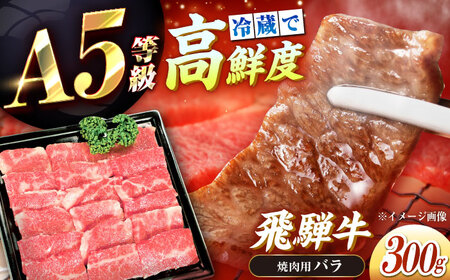 【チルド（冷蔵）発送！】 「飛騨牛」 A5等級 バラ 300g / 牛肉 焼肉 鉄板焼き 網焼き BBQ / 恵那市 / 東美濃農業協同組合[AUFX001]