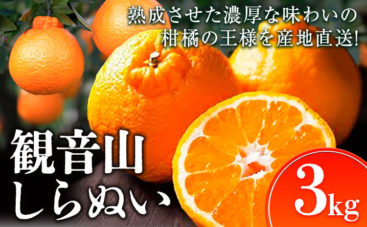 
                  観音山しらぬい 3kg 有限会社柑香園【日付指定不可】《2027年2月中旬-4月上旬頃出荷》和歌山県 紀の川市 フルーツ 果物 柑橘 しらぬい
                
