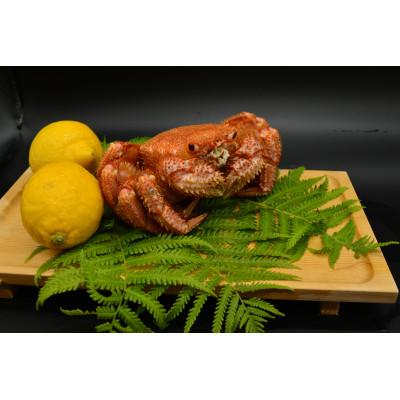 ふるさと納税 網走市 訳あり企画・かにやの活〆茹で毛蟹1尾約300g |  | 02