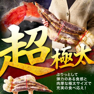 ふるさと納税 泉南市 ●【極太メガサイズ】生たらば蟹 生肩 10L以上(2肩合計約4.4kg以上) ふるさと納税3.0 |  | 01