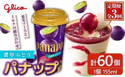 パナップ  計60個 3ヶ月定期便 グリコ スイーツ 【アイス】【ho1715】