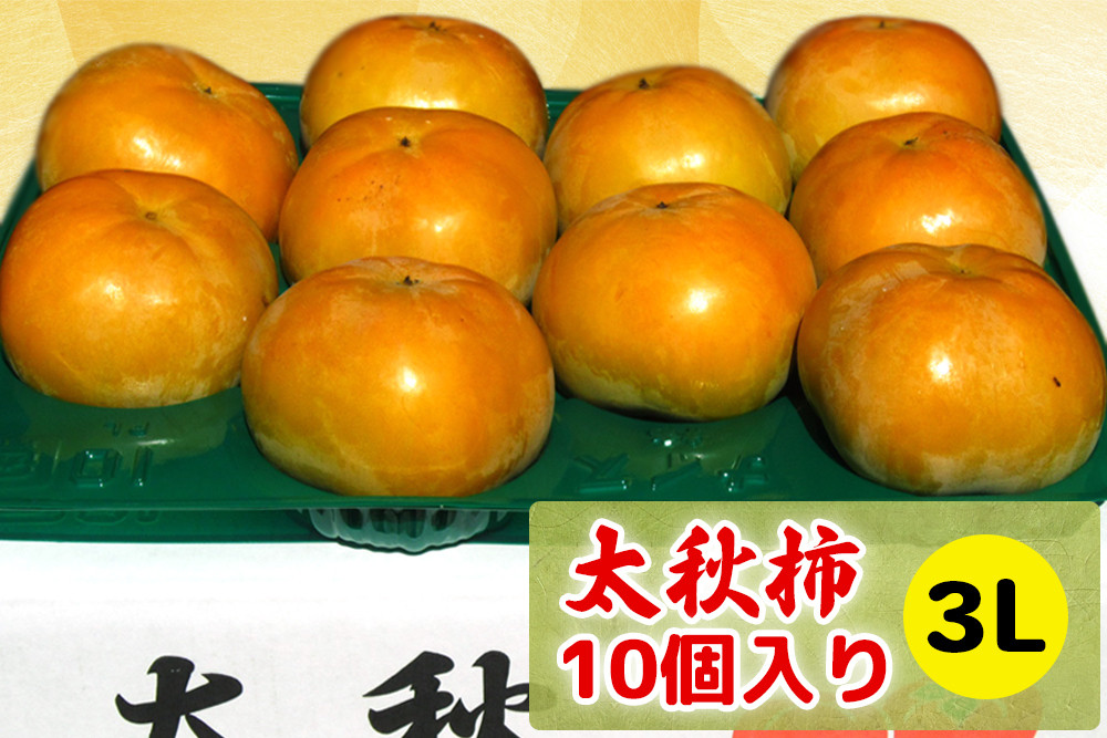 
            【先行予約】 令和7年産 高橋柿ファームの太秋柿 柿 かき 3Lサイズ 10個入り《10月上旬より発送予定》
          