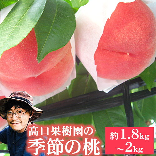 【ふるさと納税】【2026年 先行予約 】 桃 太陽のほっぺ 桃 季節のおすすめ 約1.8kg〜2kg もも モモ 旬 フルーツ 果物 熊本県荒尾市産 桃 高口果樹園《2026年7月上旬-8月末頃出荷》果汁　甘い　美肌　人気　おすすめ