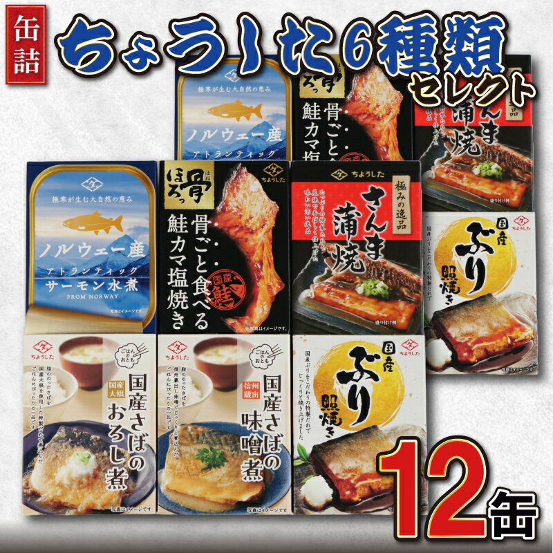 【ふるさと納税】 缶詰 6種 12缶セット ちょうしたセレクト さんま蒲焼 さば味噌煮 さば大根おろし煮 鮭カマ焼き サーモン水煮 ぶり照焼き 魚 国産 缶 海産物 魚缶詰 常温保存 缶詰 備蓄缶詰 防災 非常食 キャンプ アウトドア 送料無料 千葉県 銚子市 田原缶詰