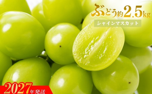 ぶどう（シャインマスカット）約2.5kg _EL-2【2027年発送】No.1711
