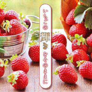 イチゴジャム 4個セット