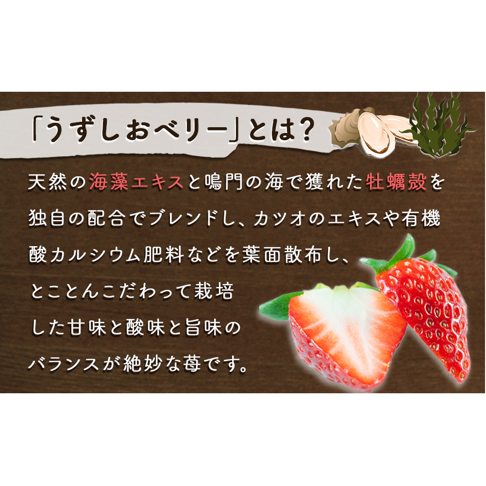 【朝摘みをお届け！】【2024年12月頃より順次発送】 フルーツガーデンやまがたのいちご「うずしおベリー」大粒18個 【数量限定】 いちご フルーツ 果物 苺 イチゴ 旬の果物 季節の果物 鳴門の果物