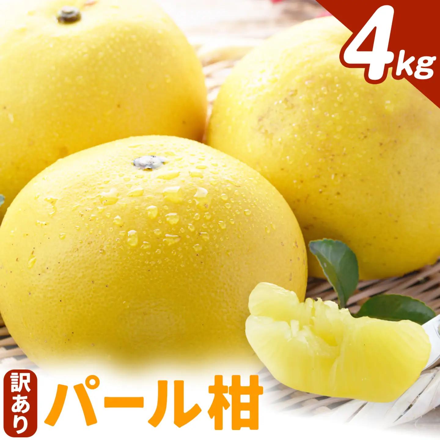 【2027年先行予約】訳あり パール柑 4kg みかん ミカン 柑橘 天草 苓北 フルーツ《2027年3月上旬-4月中旬頃出荷予定》都呂々みかん