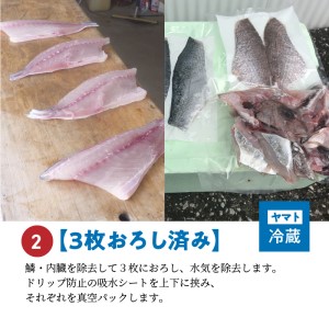 S059-018A_【3枚おろし済み】 天草わくわく便 まるごと鮮魚セット
