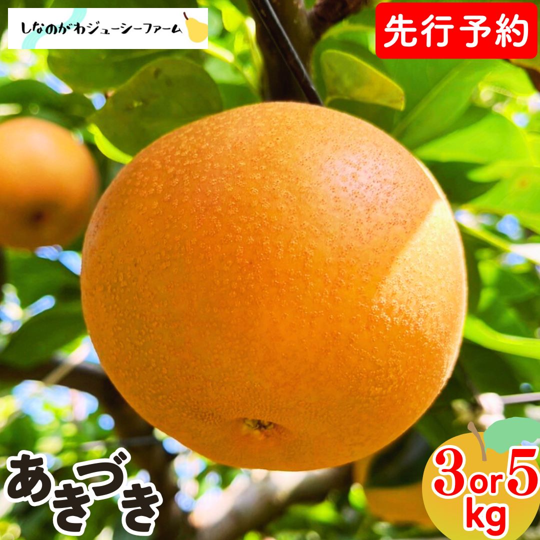 【ふるさと納税】 先行予約 和梨 あきづき 約3kg・約5kg 令和8年度 選べる数量 新潟県 三条市産 梨 [しなのがわジューシーファーム]