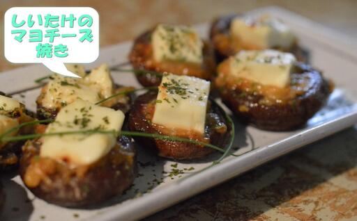 原木生しいたけ約700g 和歌山有田産  ★先行予約★ 2024年11月より順次発送