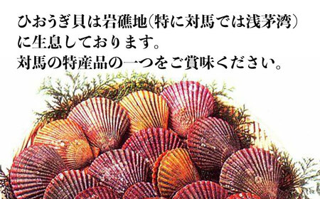 ひおうぎ貝 20枚 《 対馬市 》【 うえはら株式会社 】 新鮮 肉厚 海産物 対馬産 貝 BBQ 冷凍 疲労回復 特産品 ビタミン[WAI085] コダワリ貝 こだわり貝 おすすめ貝 おススメ貝 人