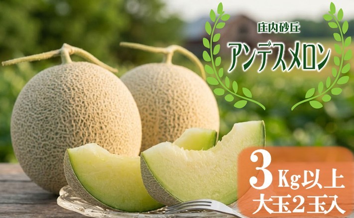 
                  庄内砂丘 アンデスメロン 大玉 2玉 3kg以上 7月上旬～7月下旬頃お届け メロン 青肉メロン 果物 フルーツ 東北 山形県 酒田市 庄内 夏 木川果実店　SA2924
                