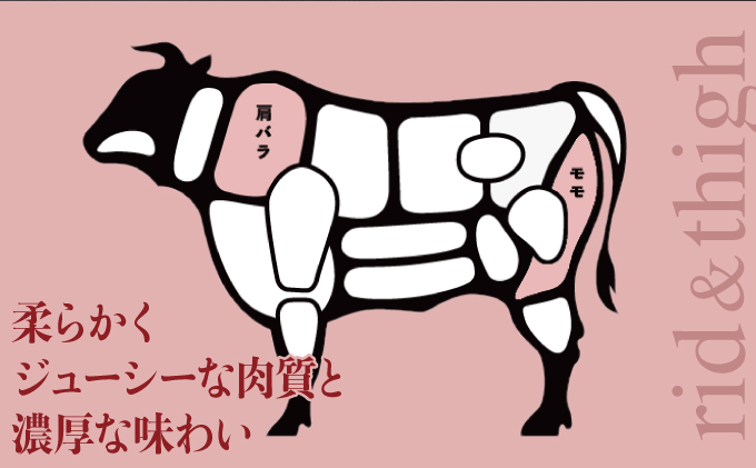 長崎和牛 赤身とバラ肉の切り落とし（すき焼き・しゃぶしゃぶ用）800g / 肉 牛肉 赤身 バラ 切り落とし すき焼き しゃぶしゃぶ / 諫早市 / 株式会社NICK'S MEAT 野中精肉店 [AH