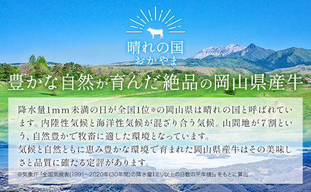 岡山県産牛 切り落とし 交雑牛 1kg お試し 大容量